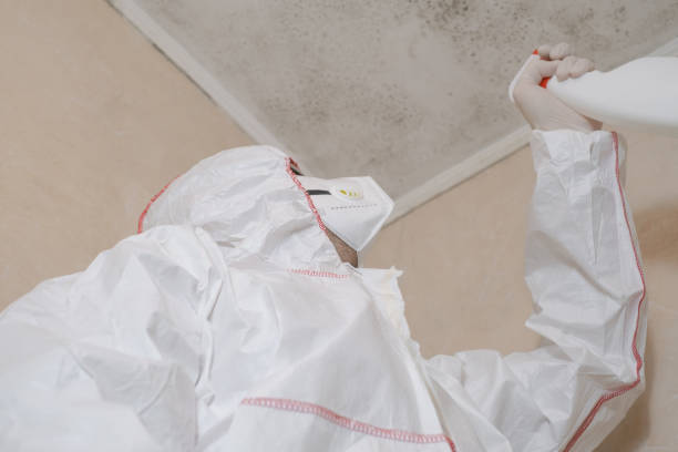 Reliable Spotswood, NJ Mold Remediation Solutions